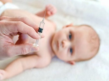 Прививка БЦЖ у новорожденных: календарь, реакция, противопоказания Прививка БЦЖ у новорожденных: календарь, реакция, противопоказания